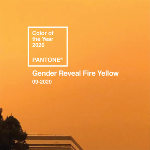 Gender reveal fire yellow
